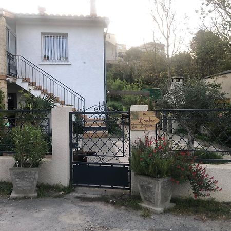 Bienvenue « A L'Ombre Du Figuier » Lägenhet Pieusse Exteriör bild